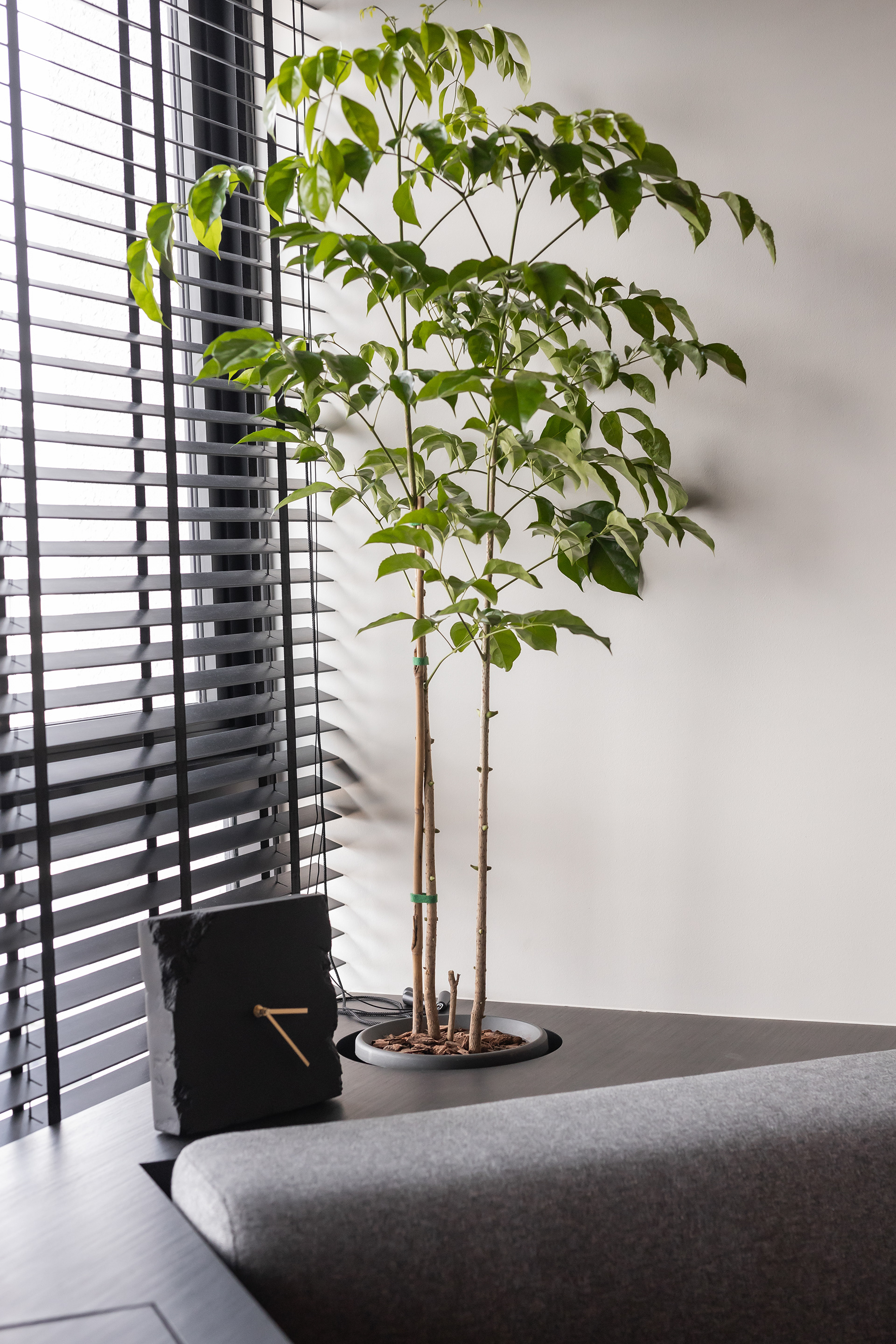 单身公寓丨马来西亚雪兰莪-12