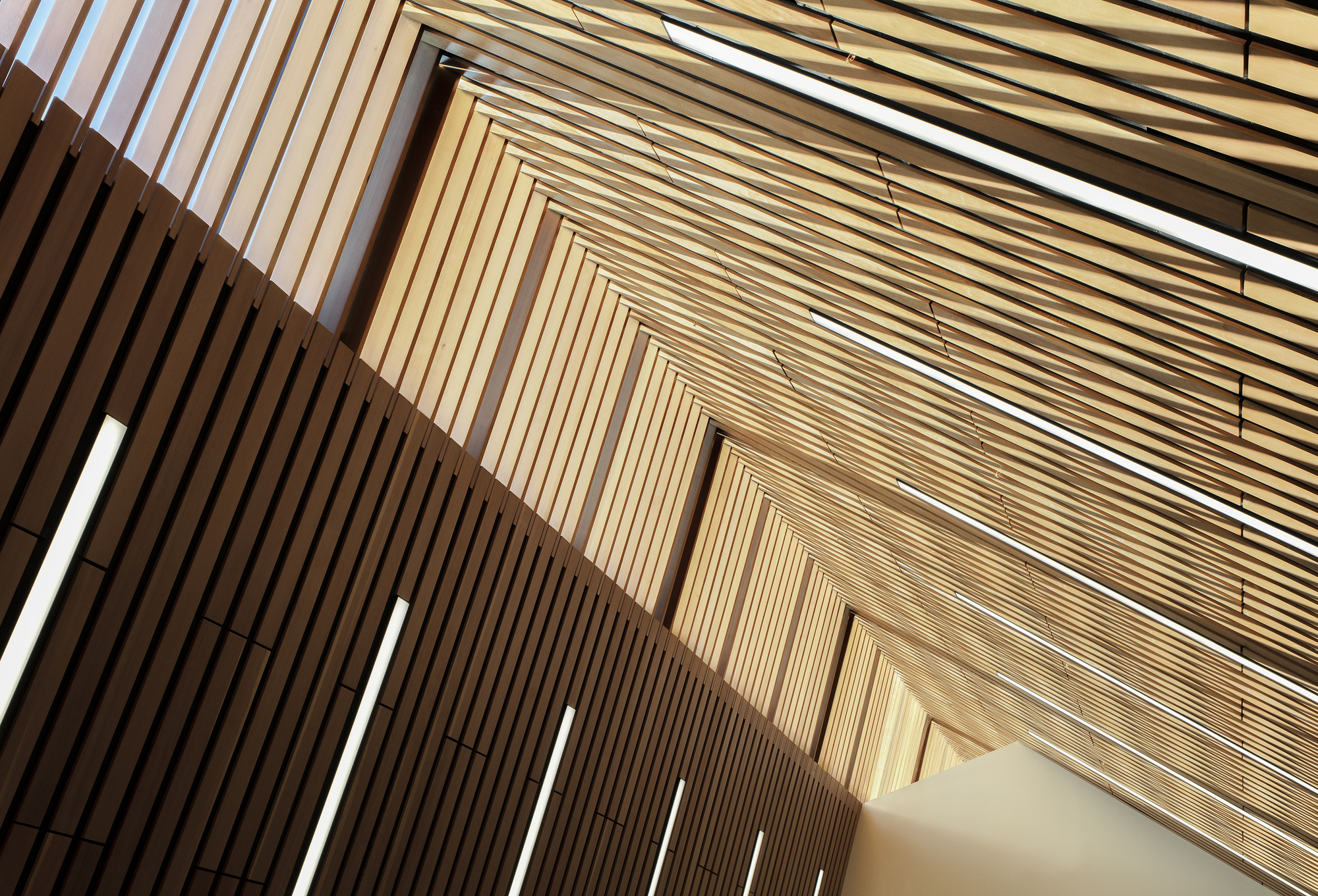 卡皮拉诺图书馆丨加拿大丨Patkau Architects + Group2-39