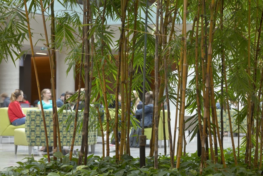 拉扎里迪斯厅-61