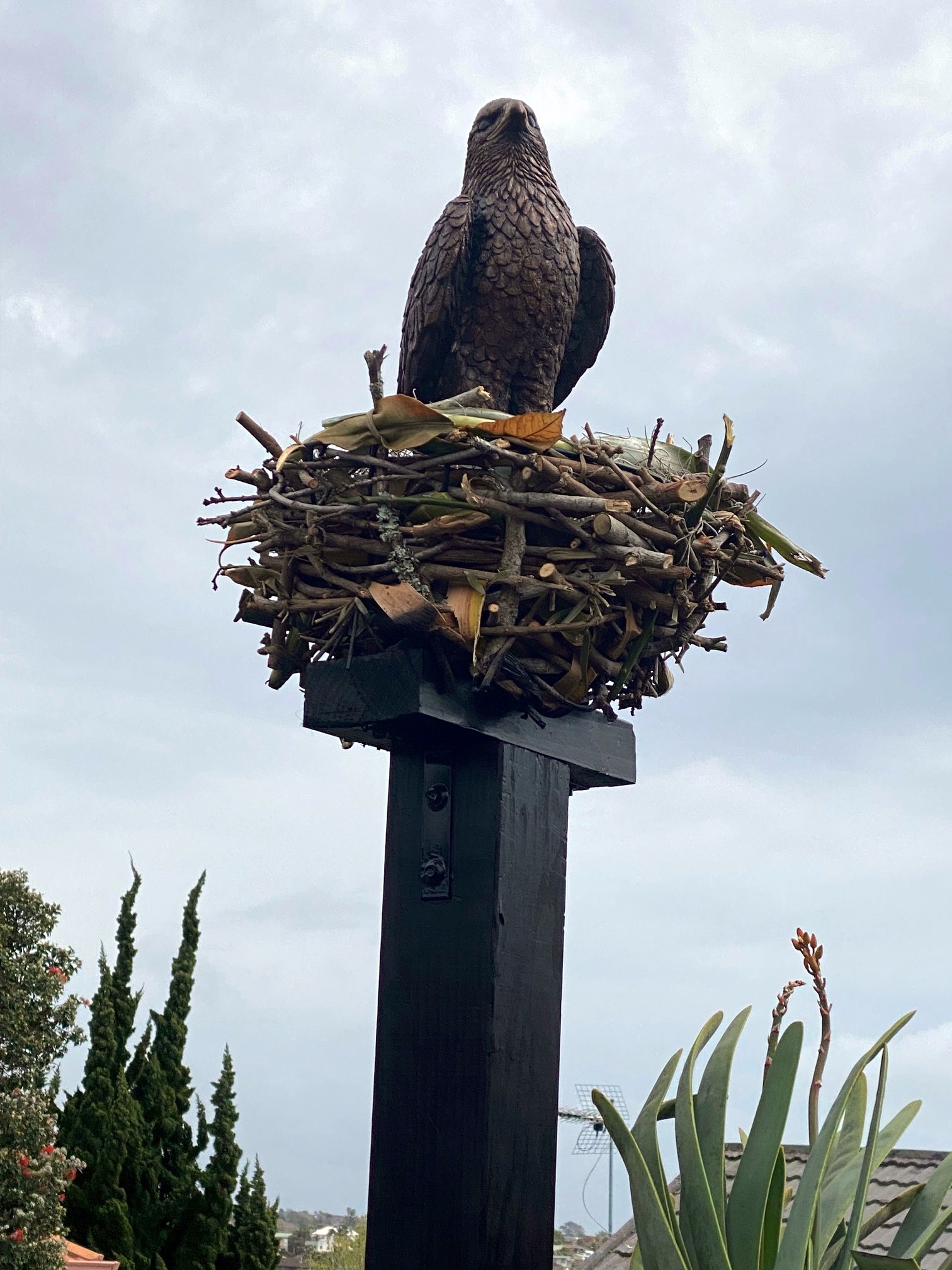 TwoConnect私人花园丨New ZealandAuckland丨Mary和Mark Jones-51