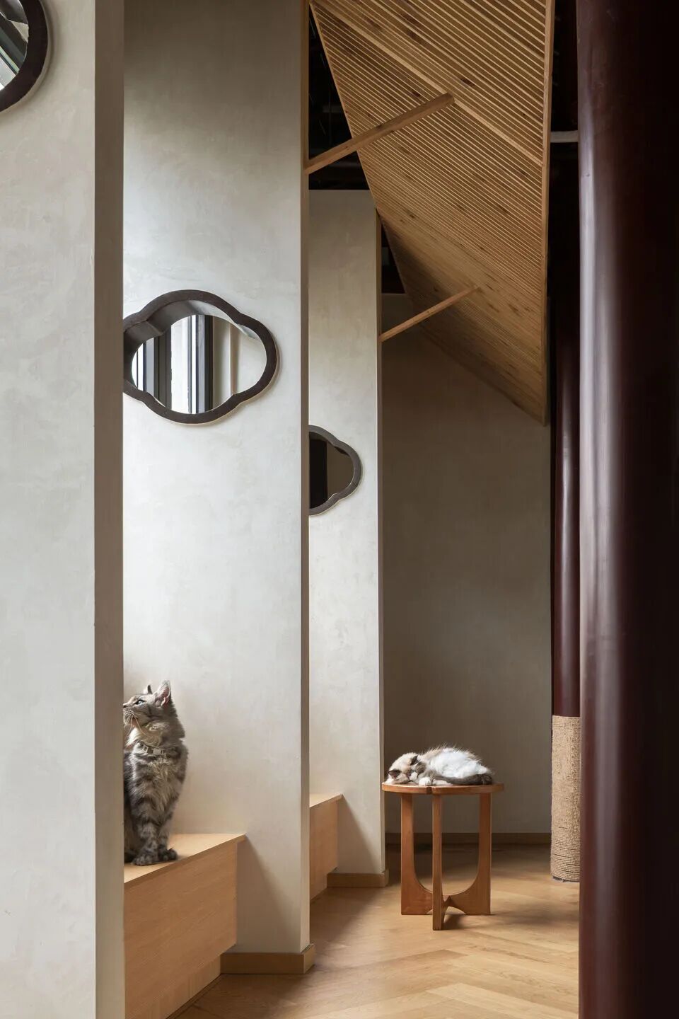 Tata Party猫咖丨中国苏州丨Parallect Design-20