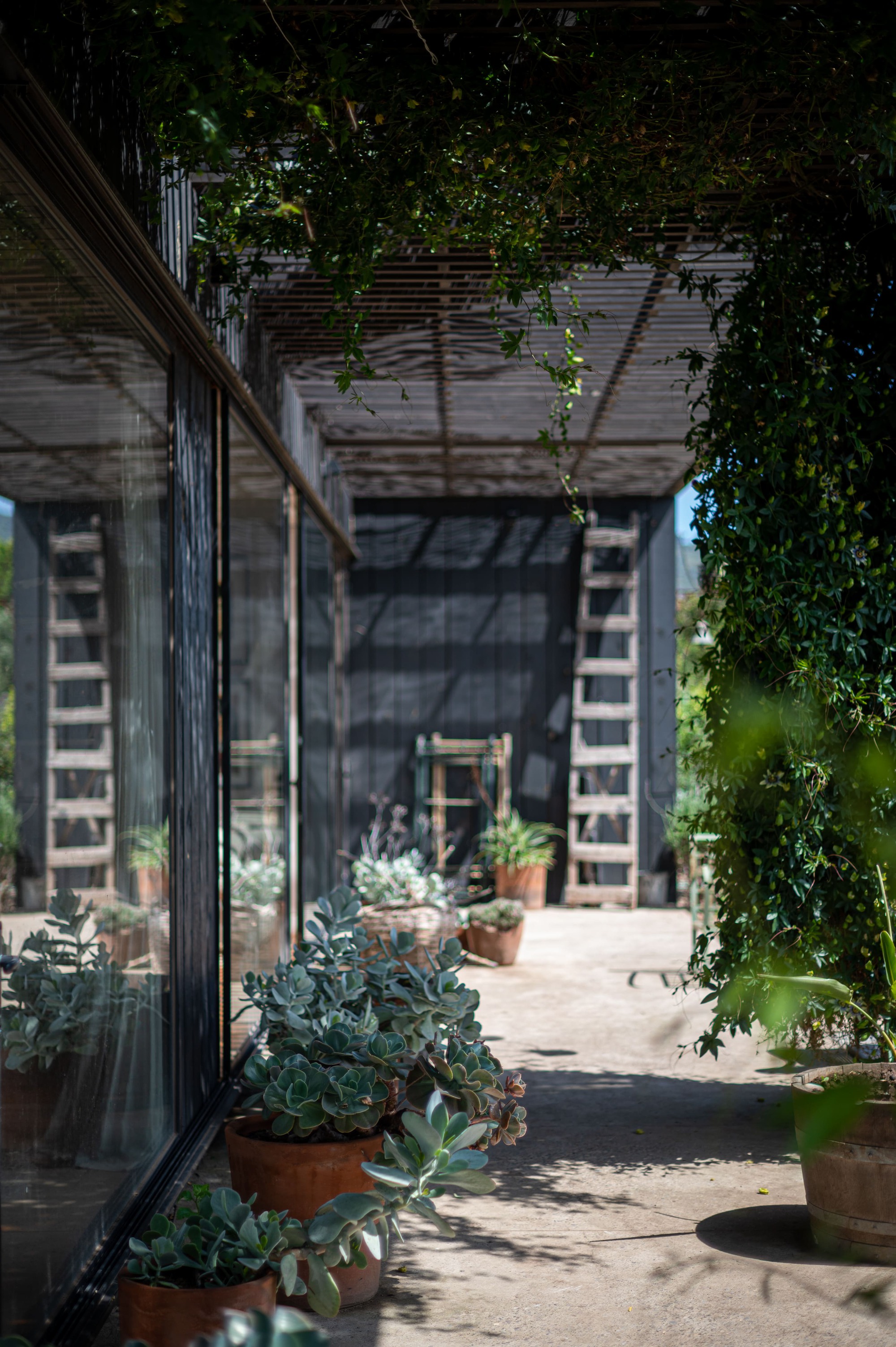 别墅丨智利丨COLECTIVO-26