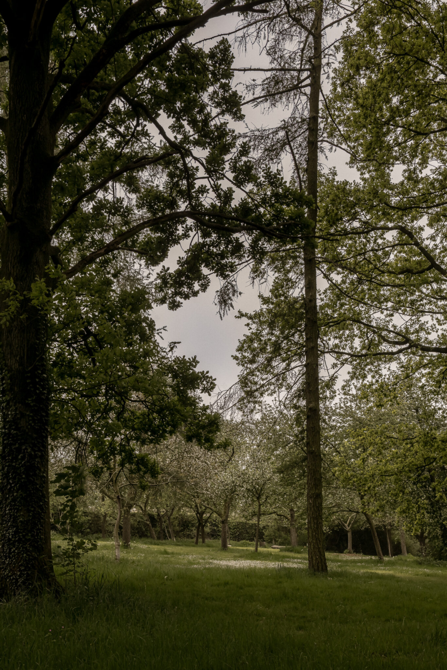 Simon de Burbure |比利时建筑师的沉静与优雅-101