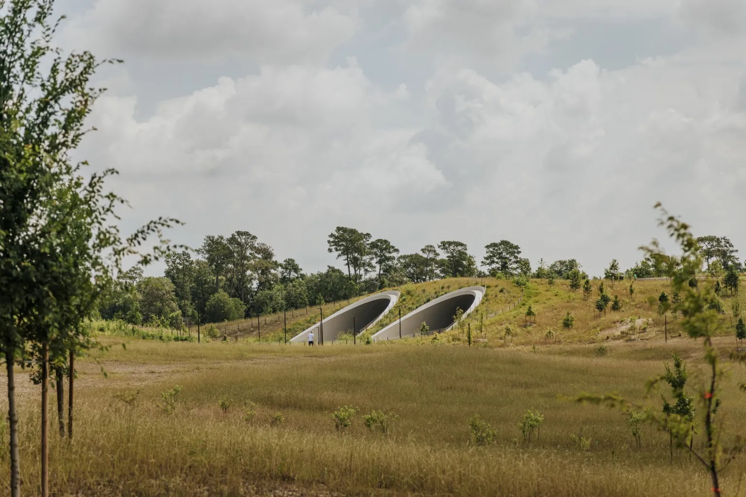 美国休斯顿纪念公园丨Nelson Byrd Woltz 景观设计事务所-57