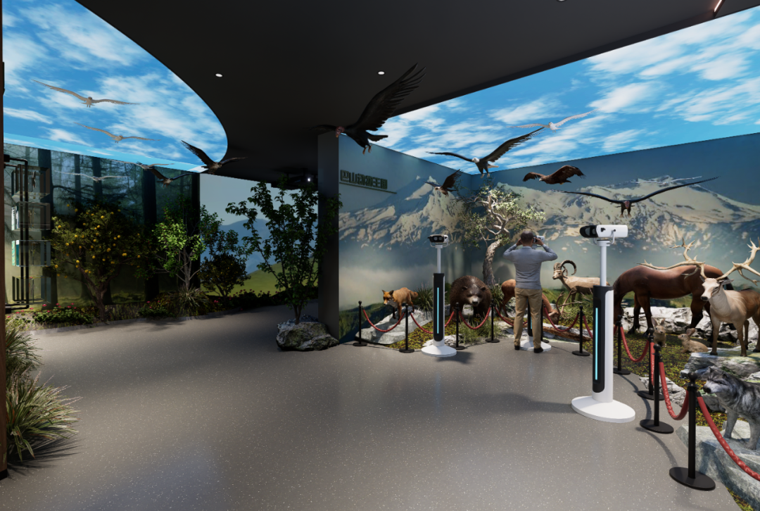 逸境 · 动植物保护区展厅丨中国新疆-38