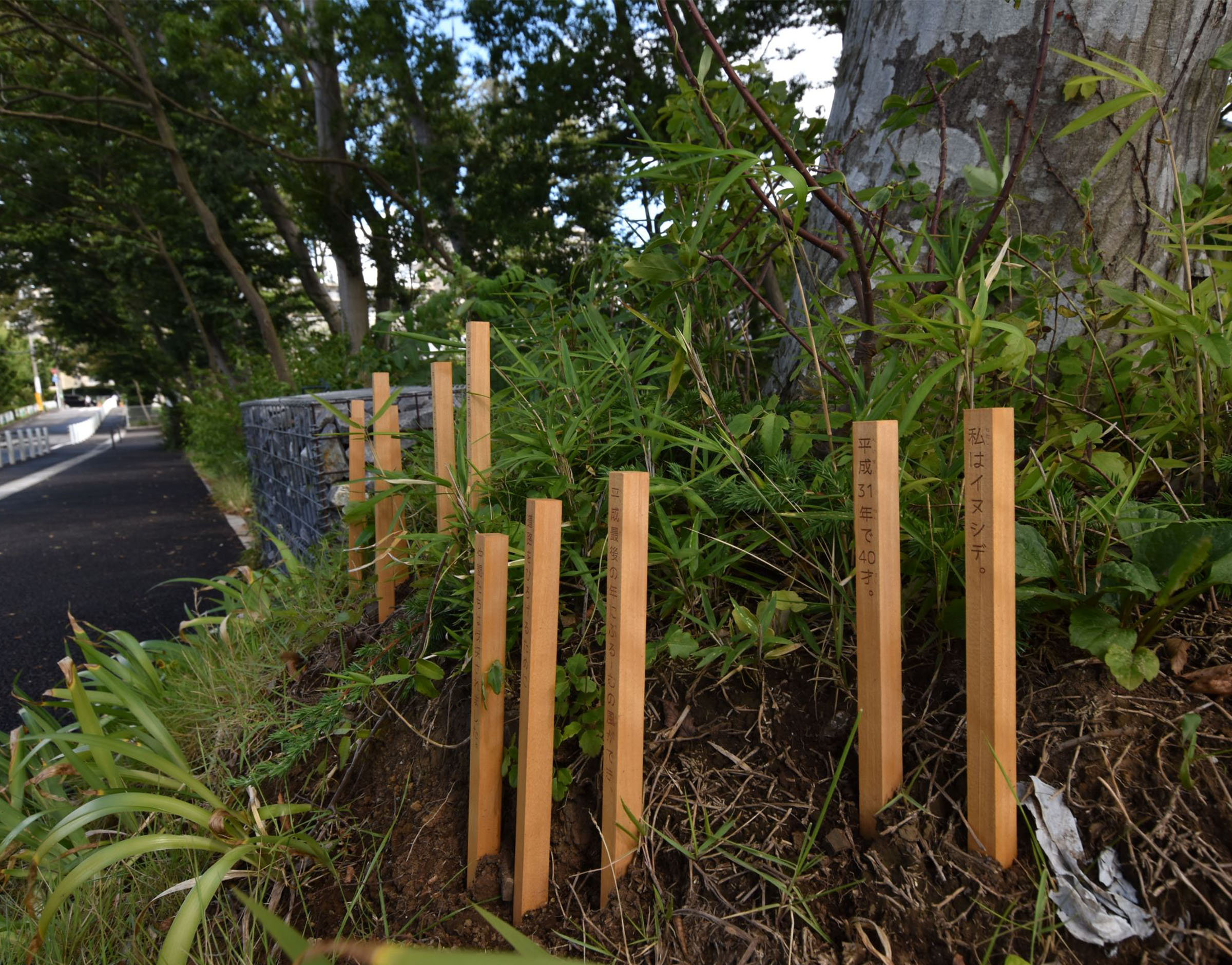 绽放的风 (Bloom no kaze)-28