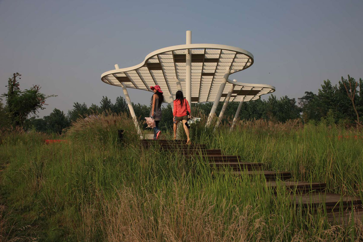 秦皇岛红丝带公园丨中国河北丨土人景观设计公司-10
