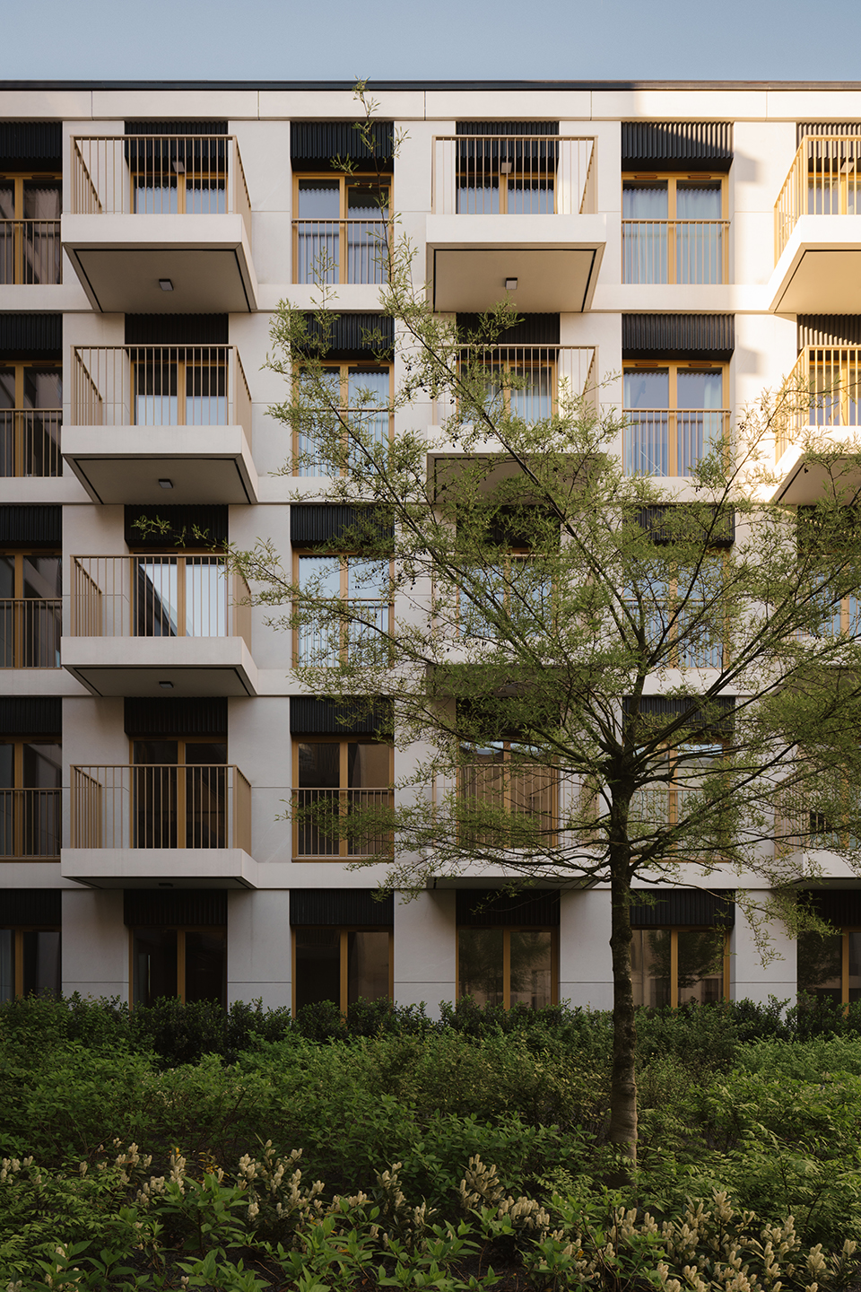 比得哥什新港（一期）丨波兰比得哥什丨BBGK ARCHITEKCI-54