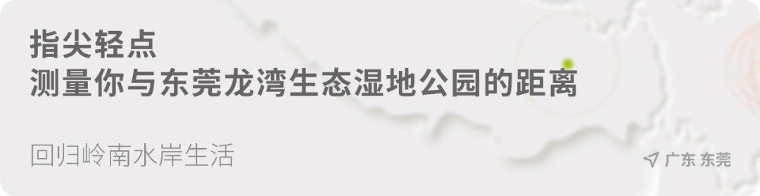回归岭南水岸生活 | 东莞龙湾生态湿地公园-8