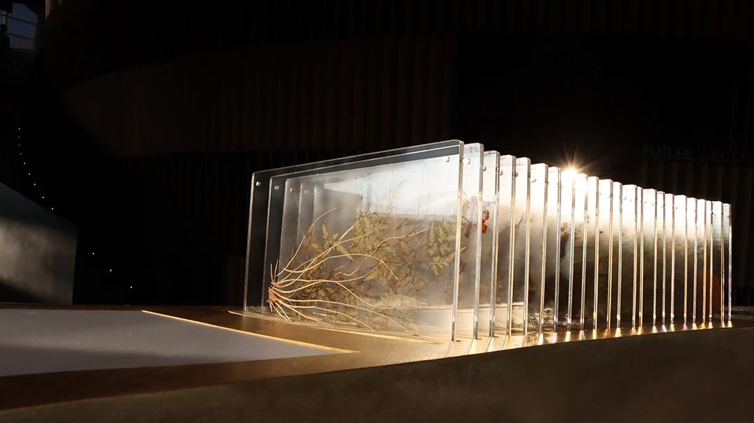 万科公园城市示范区-70