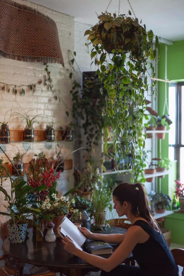 与自然共生 | 一个被植物包围的家-6