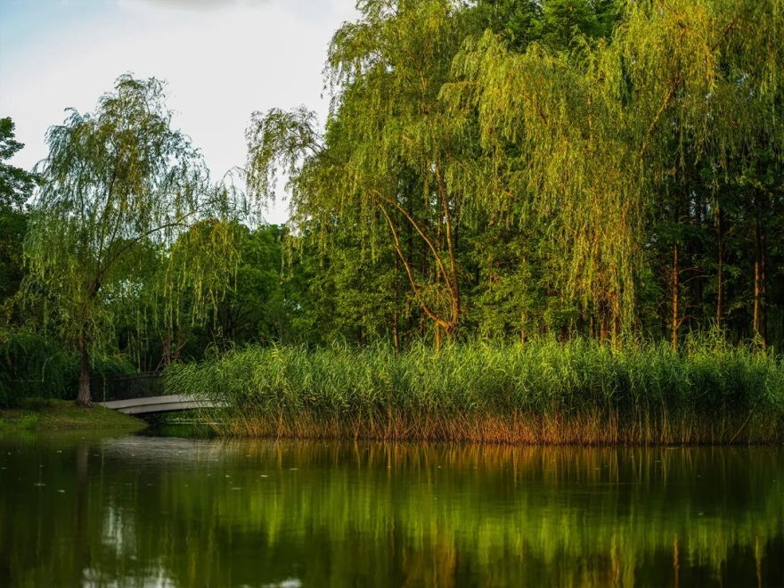 江阴锦艺·天鹅湖公园丨中国无锡丨深圳市喜喜仕景观及建筑规划设计-20