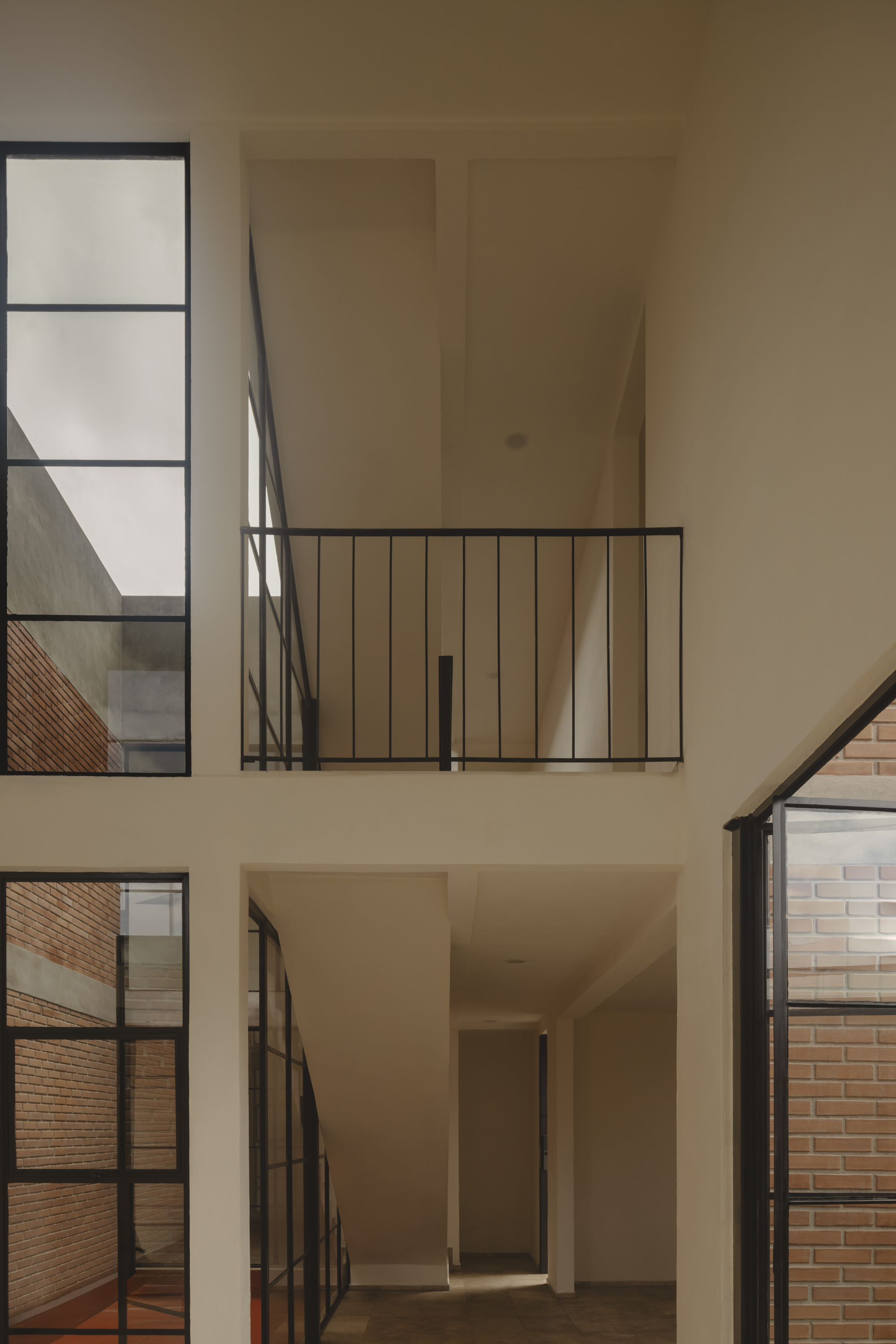 鲨鱼屋丨墨西哥丨TALC-31