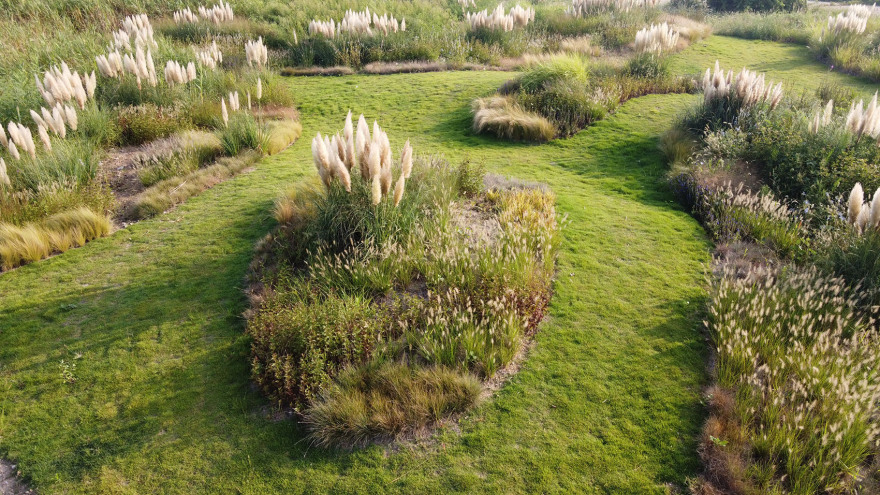 多岛海野草公园丨中国日照丨孔祥伟工作室-18