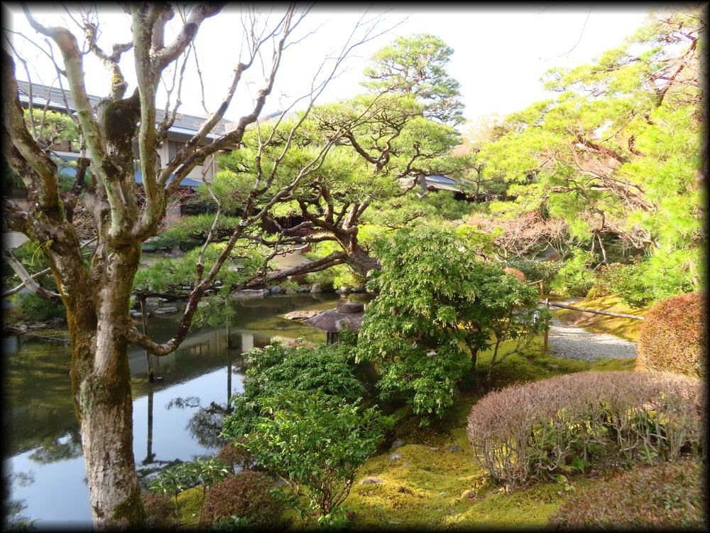 日本私立学校振興・共済事業団京都宿泊所『白河院』丨日本京都丨武田五一（建筑）,七代目小川治兵衛（植治）（庭园）-48