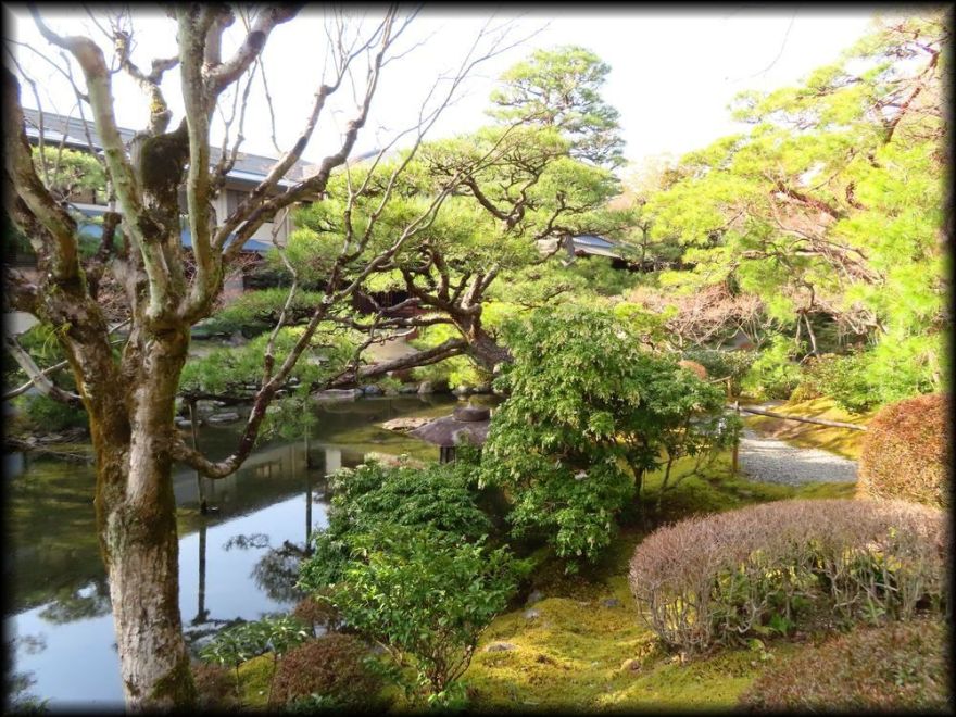 日本私立学校振興・共済事業団京都宿泊所『白河院』丨日本京都丨武田五一(建筑),七代目小川治兵衛(植治)(庭园)-48