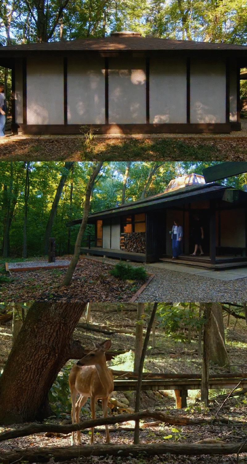 丨美国密歇根丨Norman Carver-16