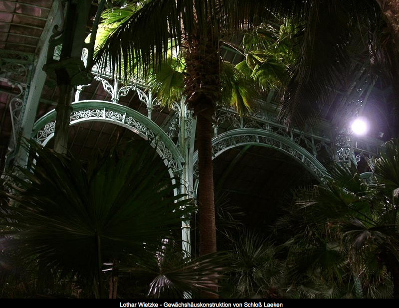 Magiche serre reali di Laeken (Bruxelles) | theouterthebetter-34