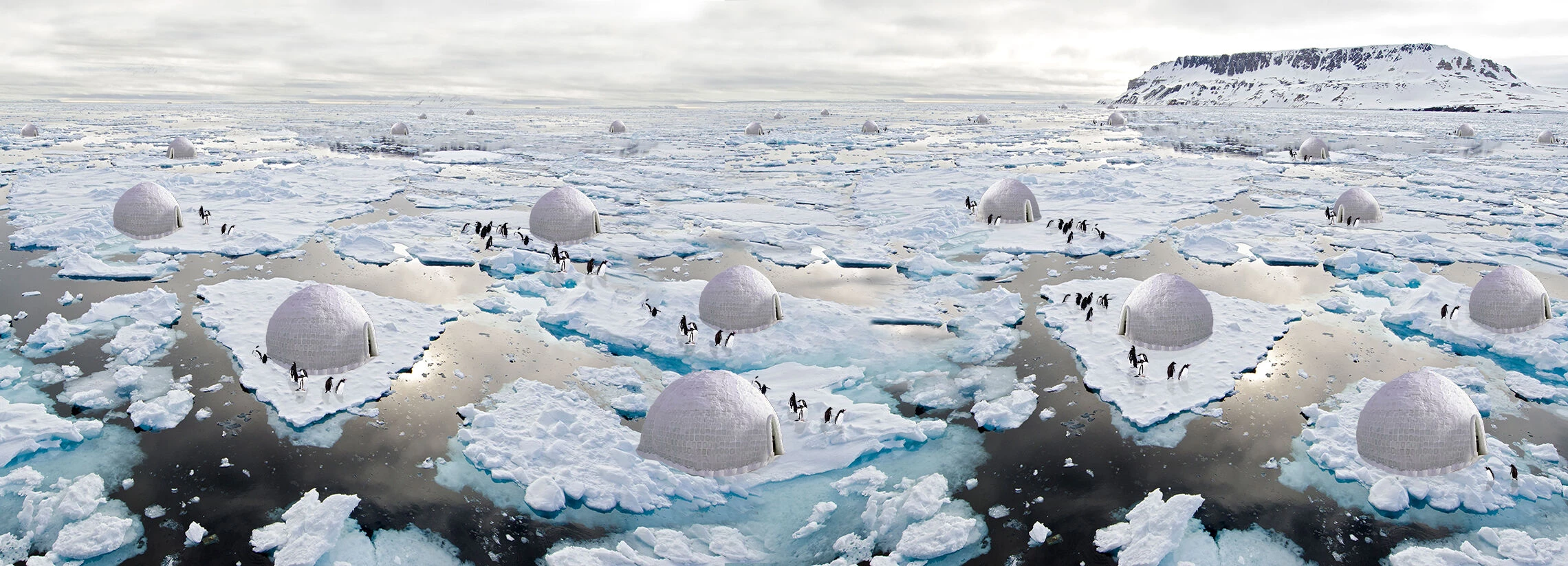 南极企鹅保护系统丨SN（Sajjad Navidi）-23