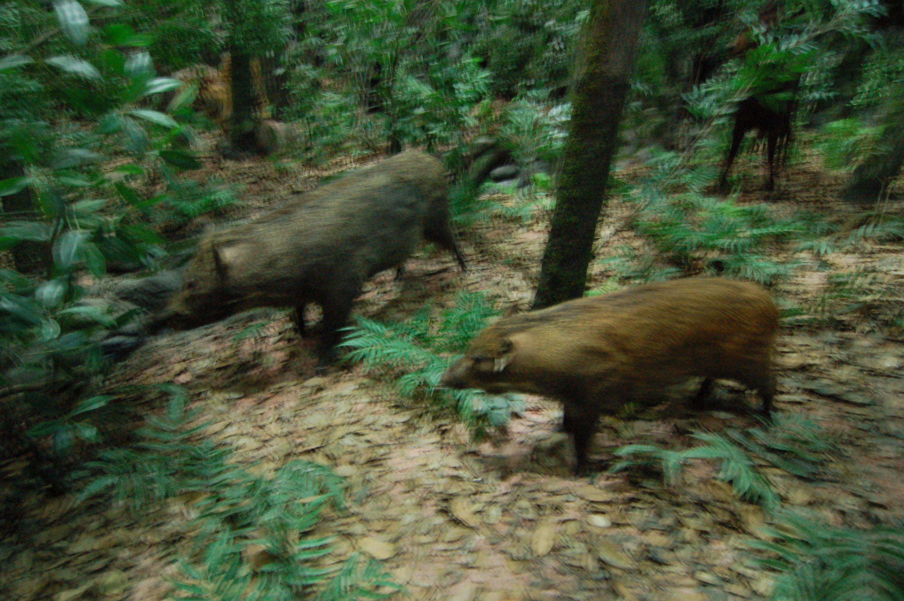 博物馆城市规划馆-2-8