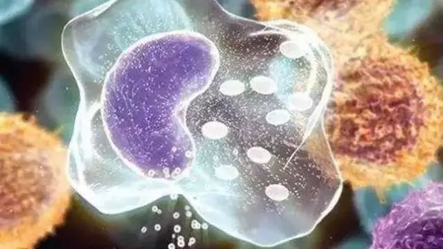 《Science》公布的 125 个最具挑战性的科学问题,你感兴趣的是哪个?-124