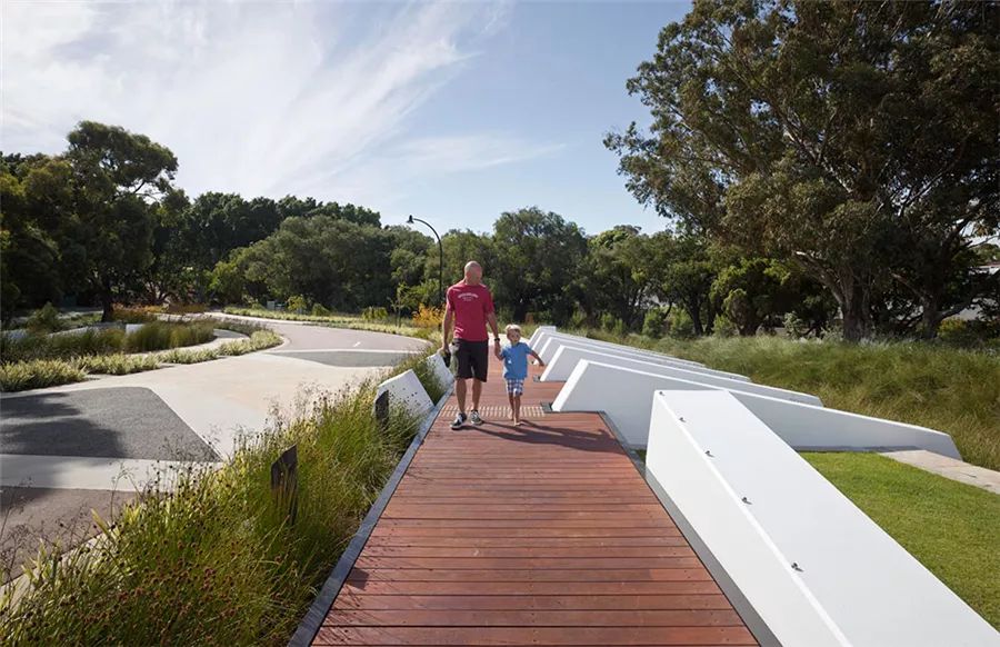 边界植物在景观设计中的妙用-45
