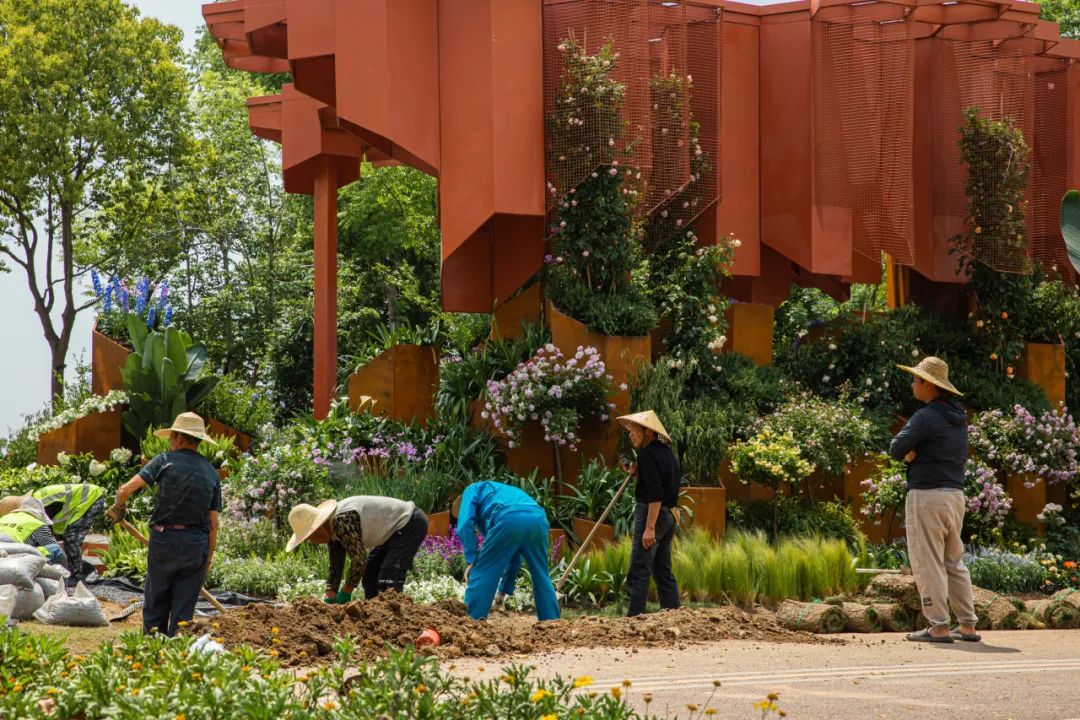 2023德阳市花月季展德阳园 | 齿轮花园-140