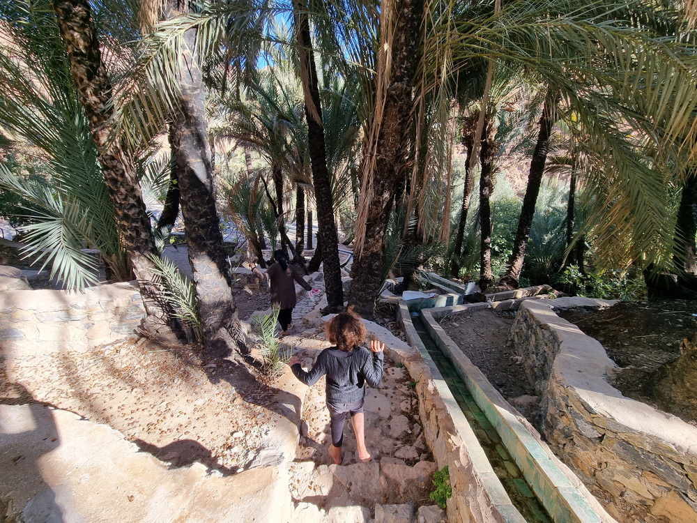 《Moroccan Oasis Transformed by Inside Outside Studio (Inside Outside 工作室将摩洛哥绿洲转型)-12