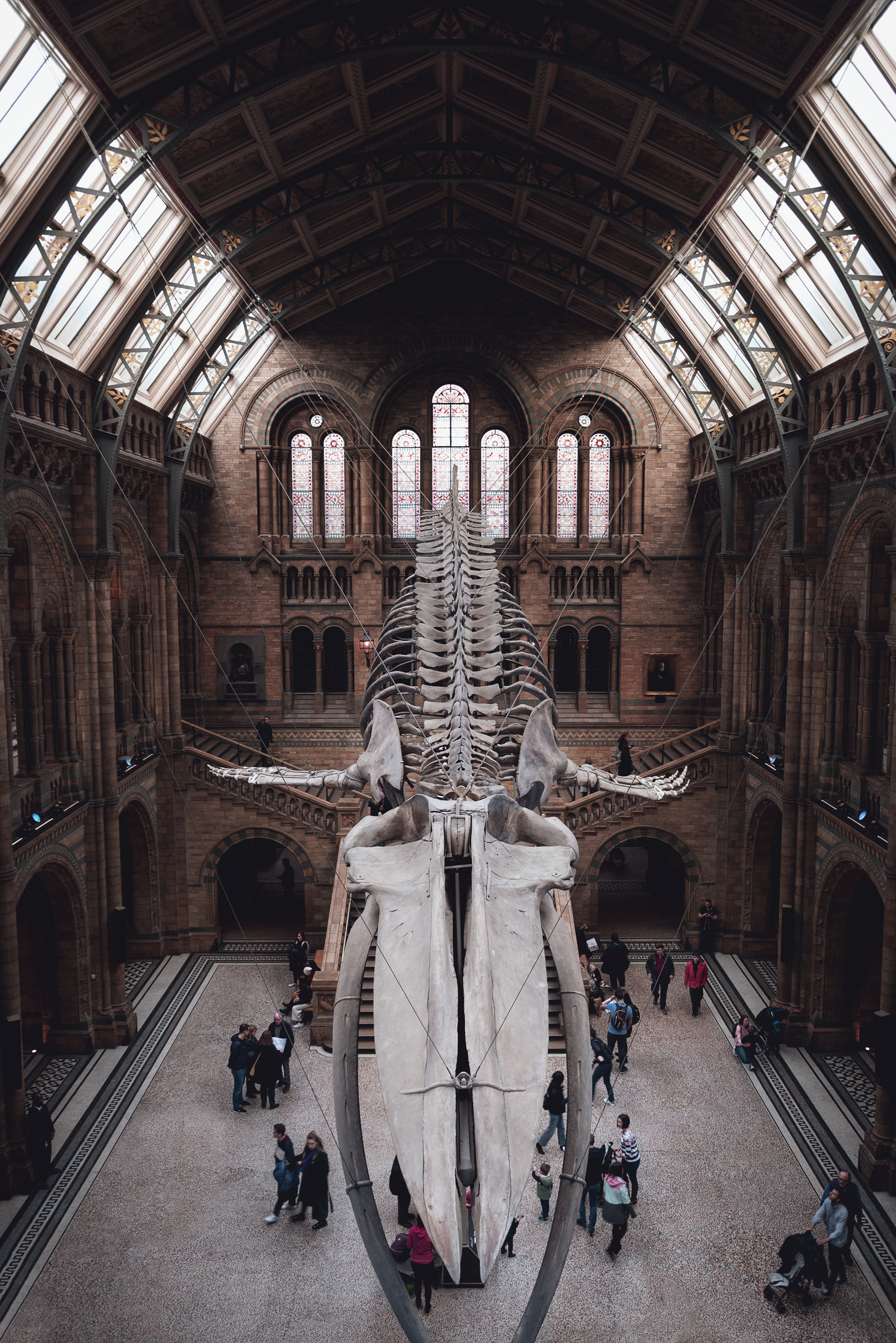 伦敦自然历史博物馆中央大厅设计丨英国伦敦-4