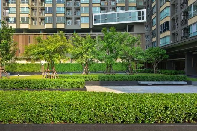 绿篱景观的多功能设计 | 空间、生态与美学的完美结合-80