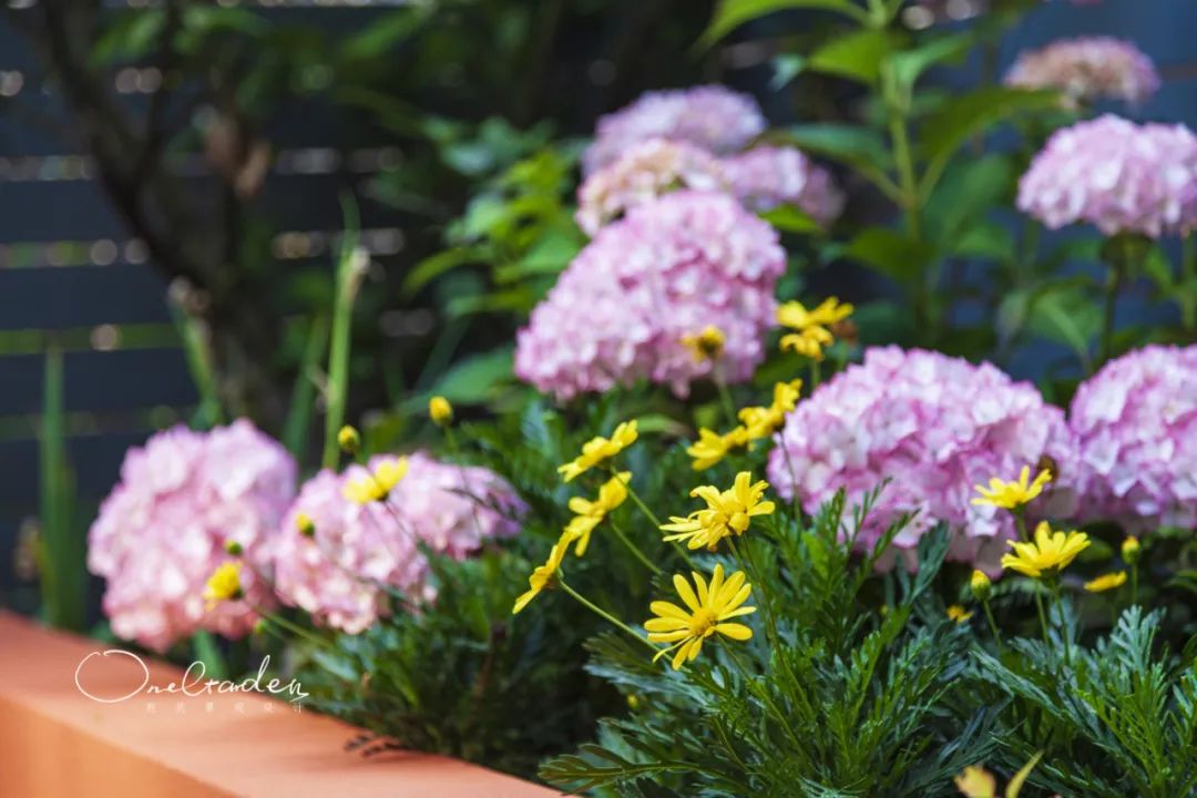 50㎡巴拉甘式现代风格·色彩花园-67