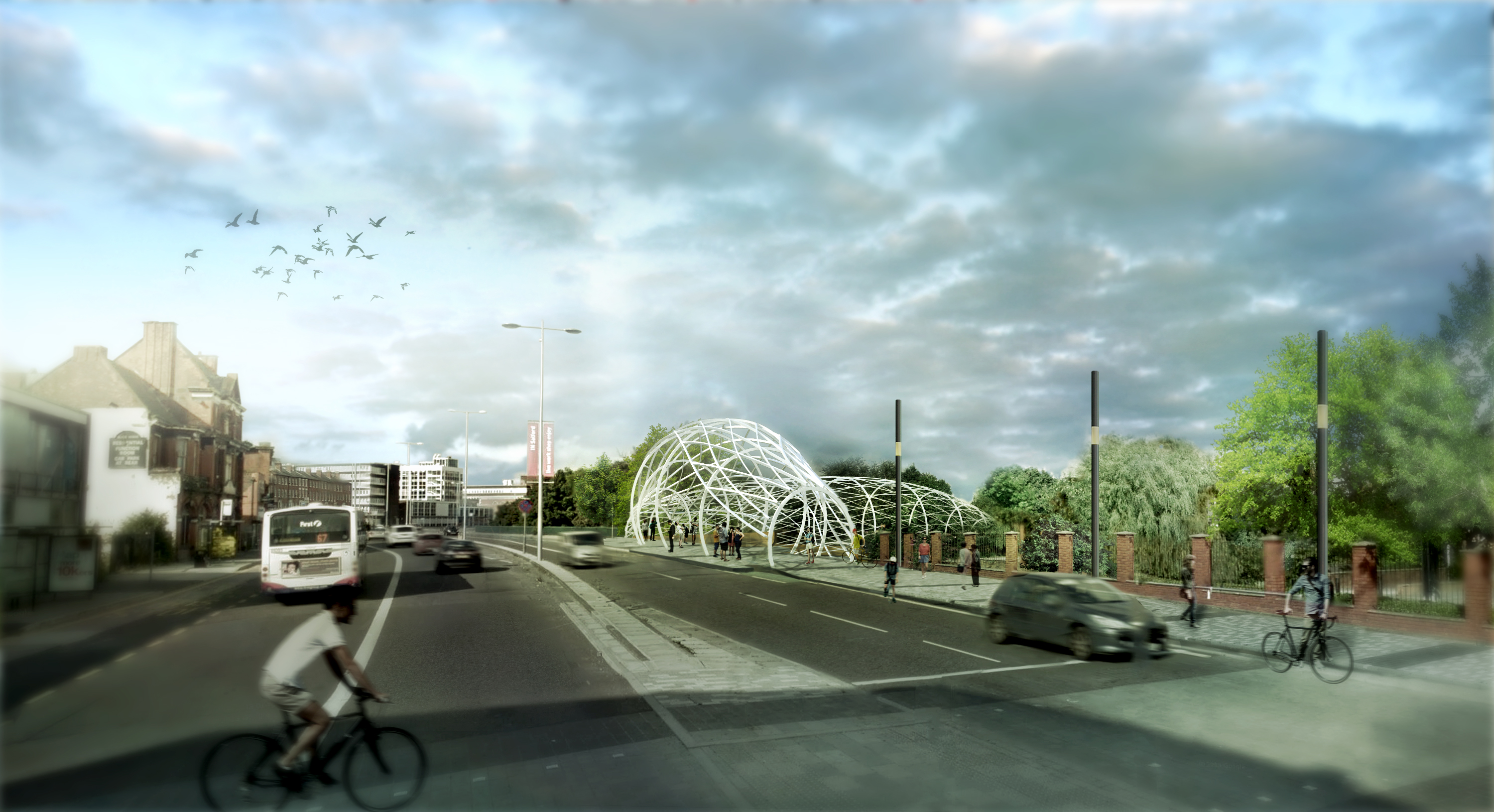 Salford Meadows Competition | Standard-13