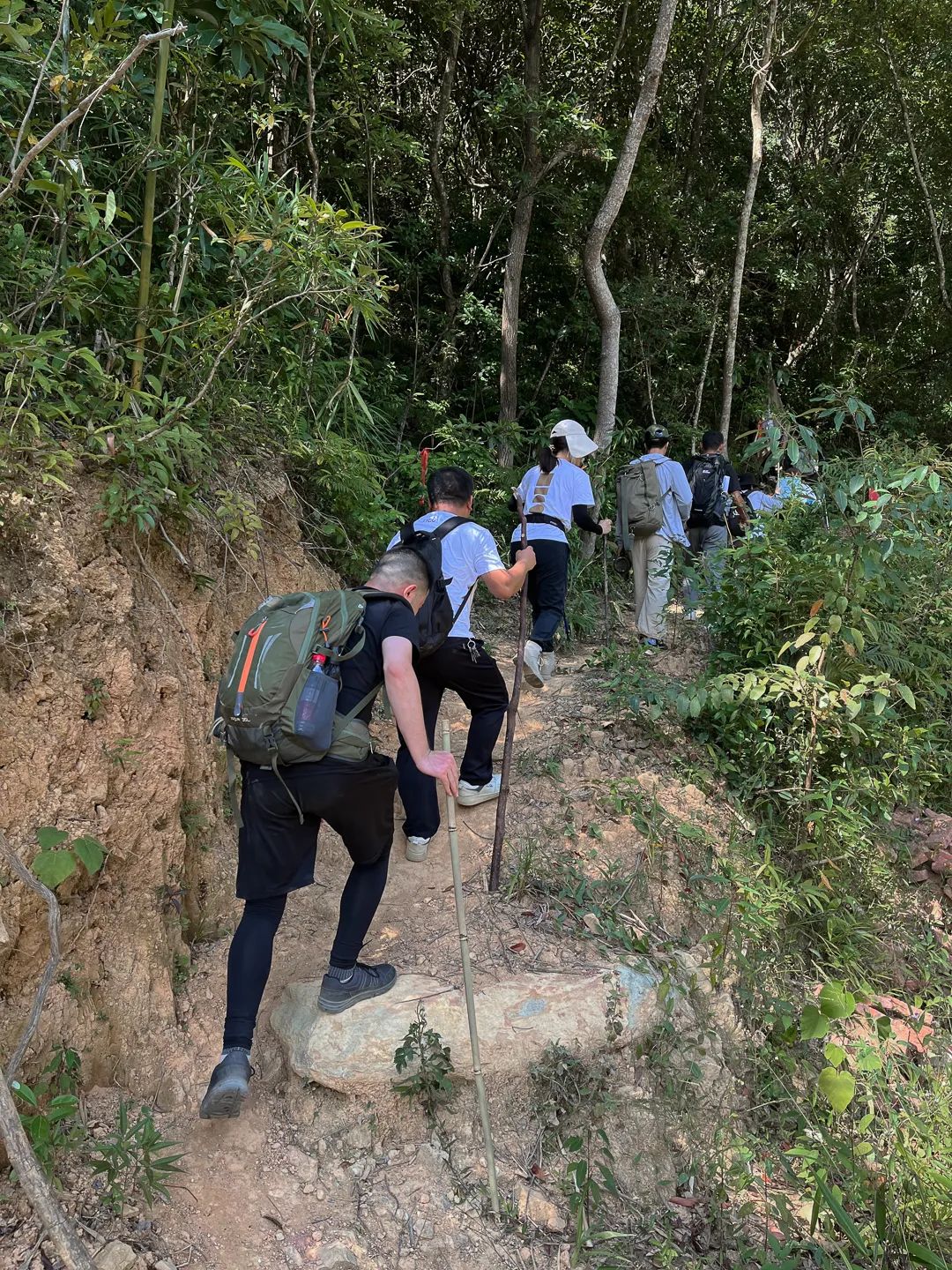 力高设计17周年庆活动丨LICO力高设计-19