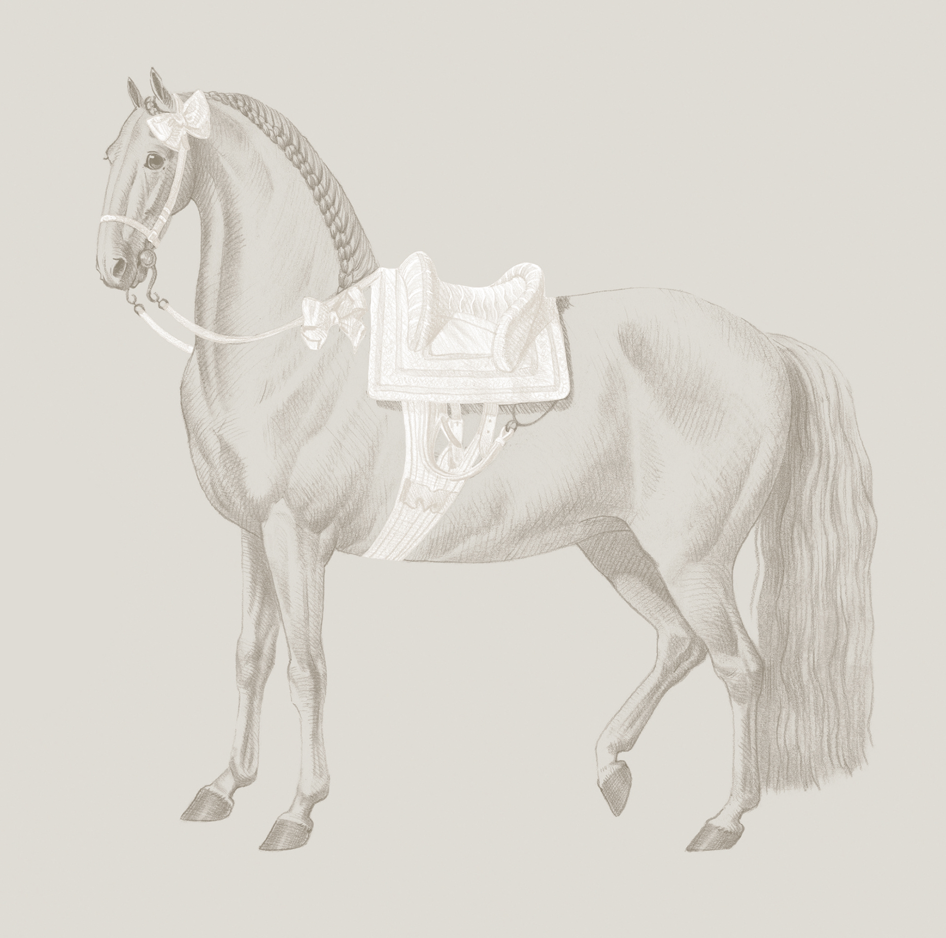 Lusitano. Hand drawn wallpaper design-7