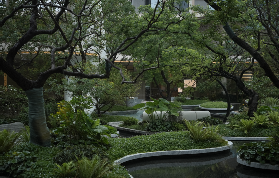 松弛岛屿|长沙招商·揽阅-85