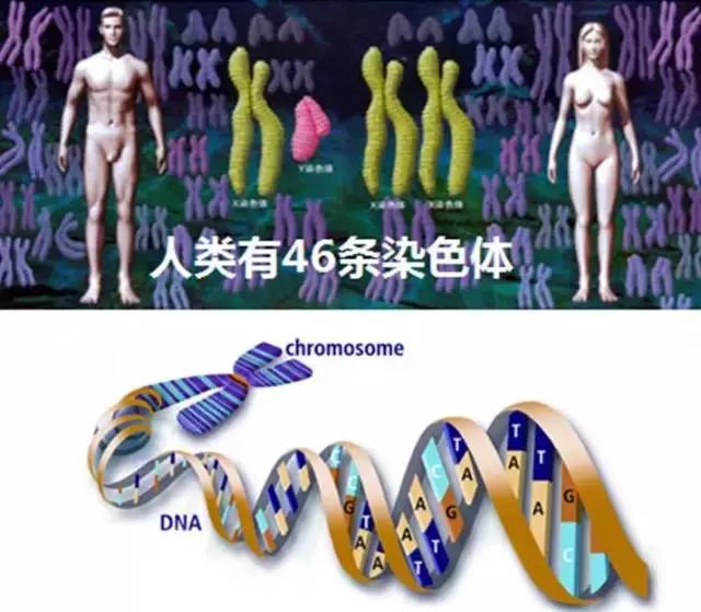 《Science》公布的 125 个最具挑战性的科学问题，你感兴趣的是哪个？-8