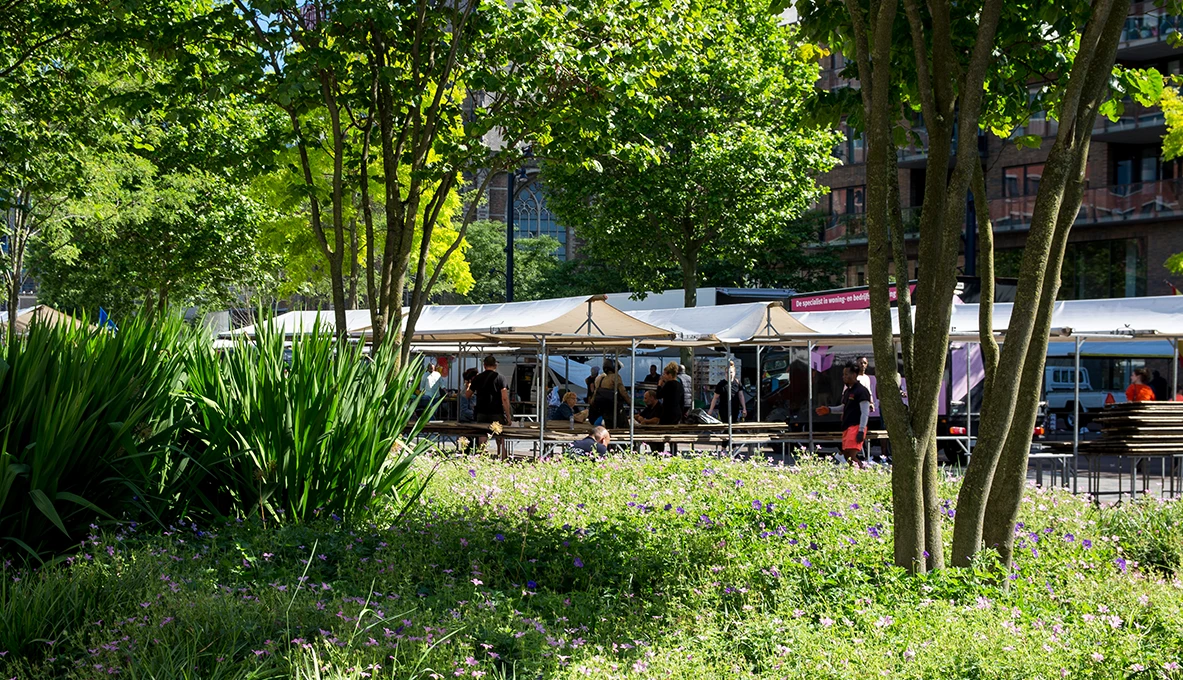 Binnenrotte Rotterdam-9