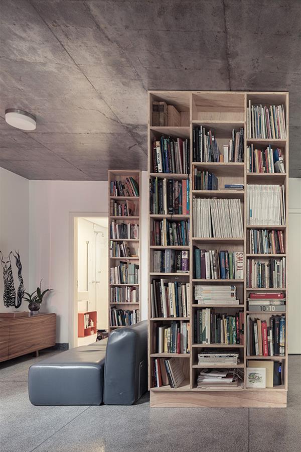 巴西半岛建筑 · 混合用途与经济高效的设计-10