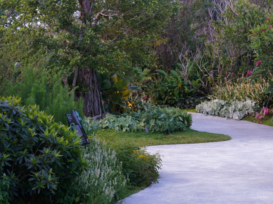 三亚海棠河生态公园(二期)·热带奇趣园丨中国三亚丨LOLA Landscape Architects B.V.-36