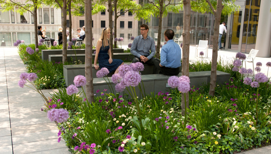 晨星公司屋顶花园丨美国芝加哥-2