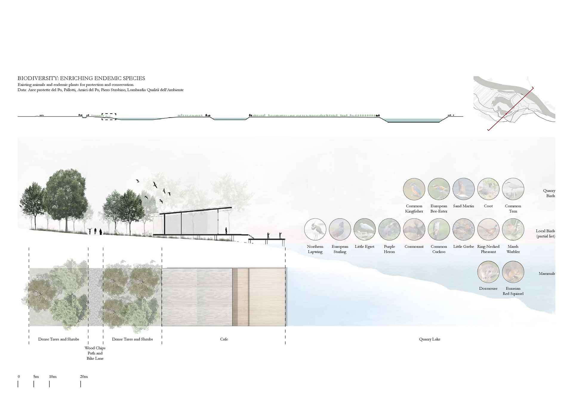 Pre-Thesis Final Studio: Un Po Piu di Boschi-40
