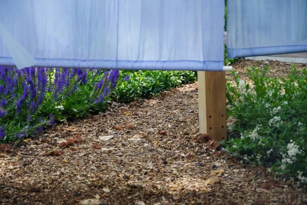 “见天地，愈身心”：我院景观系师生打造中医药疗愈花园@上海国际花展-16