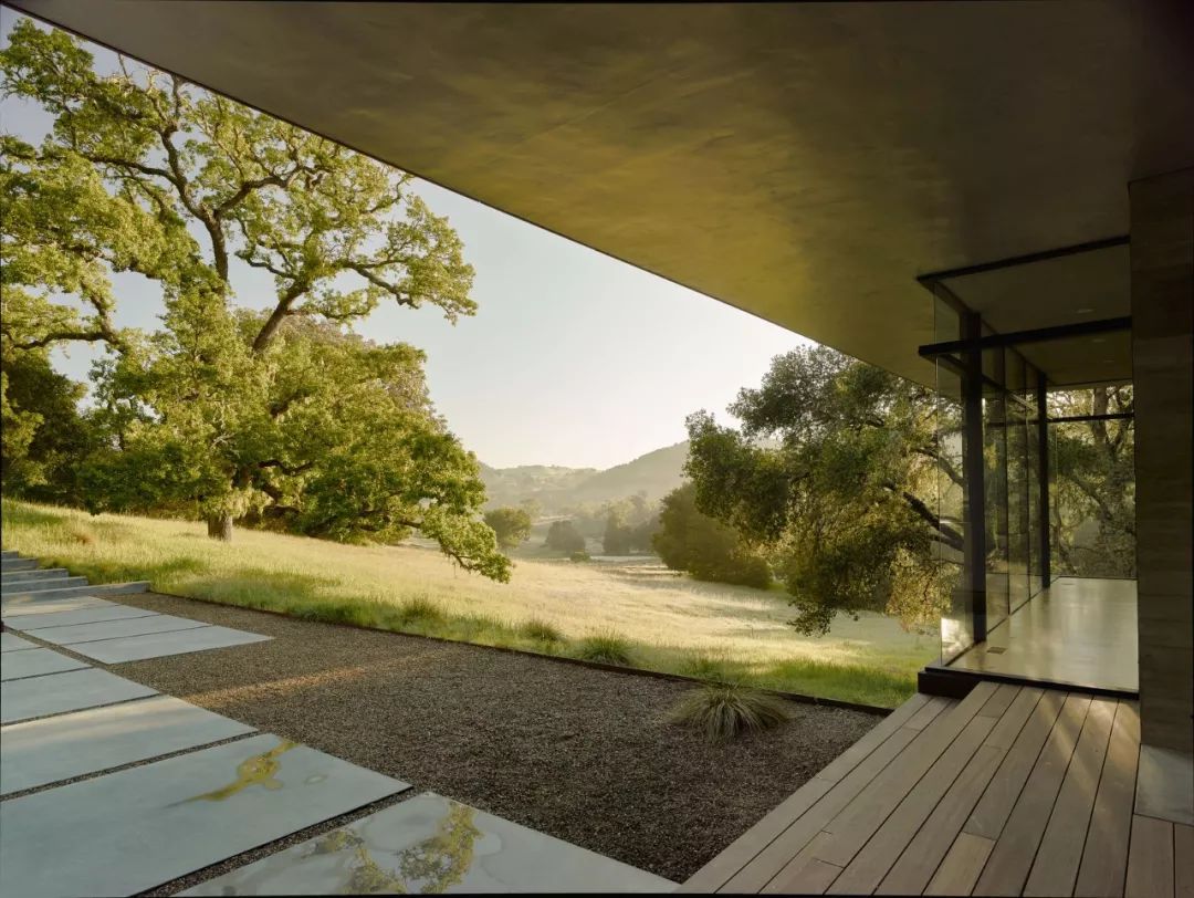 融合自然的当代美学 | 丹尼尔·皮乔塔设计案例解读-6