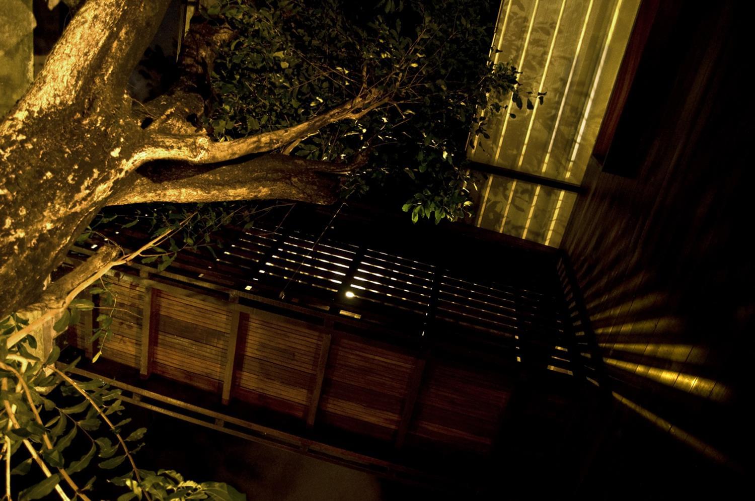 巴西独特木结构住宅 | 保留自然元素，打造城市森林-6