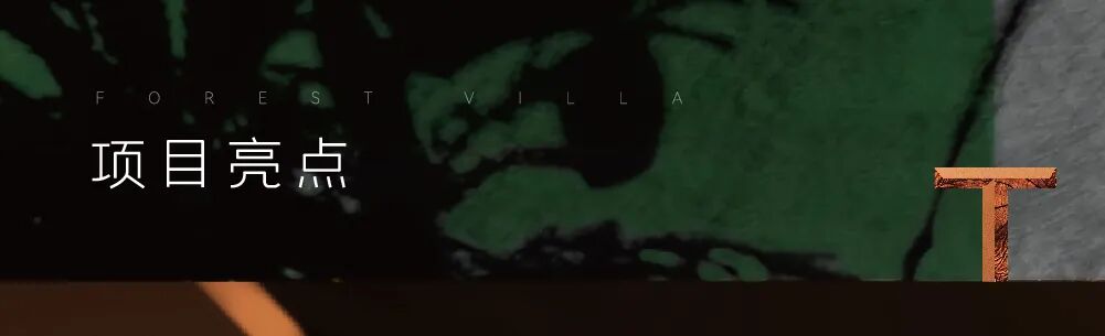 星瀚府（东区）简介-31