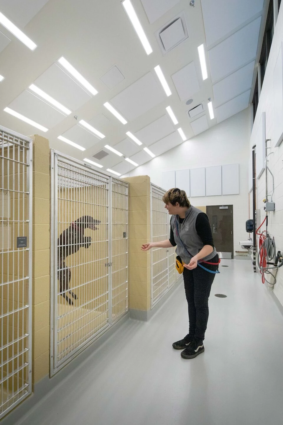 俄勒冈人道协会丨美国波特兰丨Scott Edwards Architecture-31