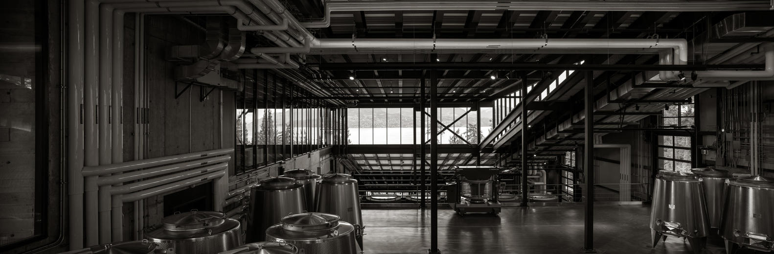 马丁巷酒庄·冯·曼德尔家族的重力酿酒传奇-68