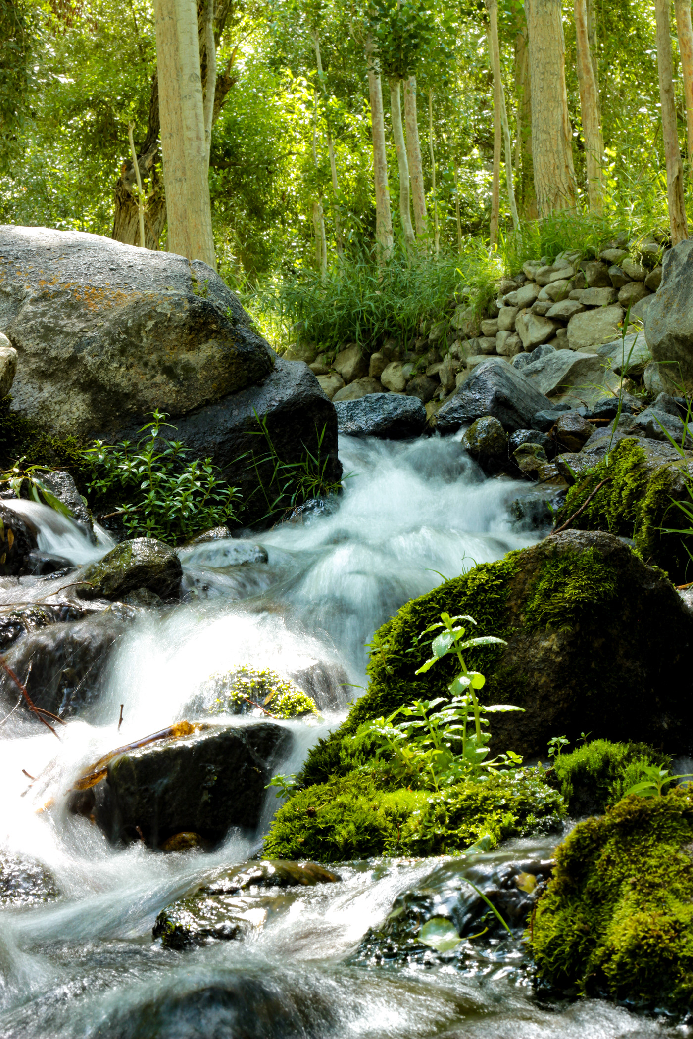 Nature Photography-5