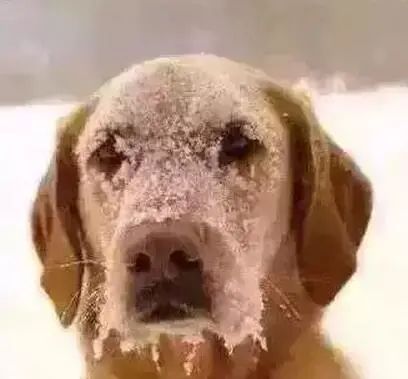 南京人抗冻新武器 | 明装暖气，温暖过冬不是梦-17