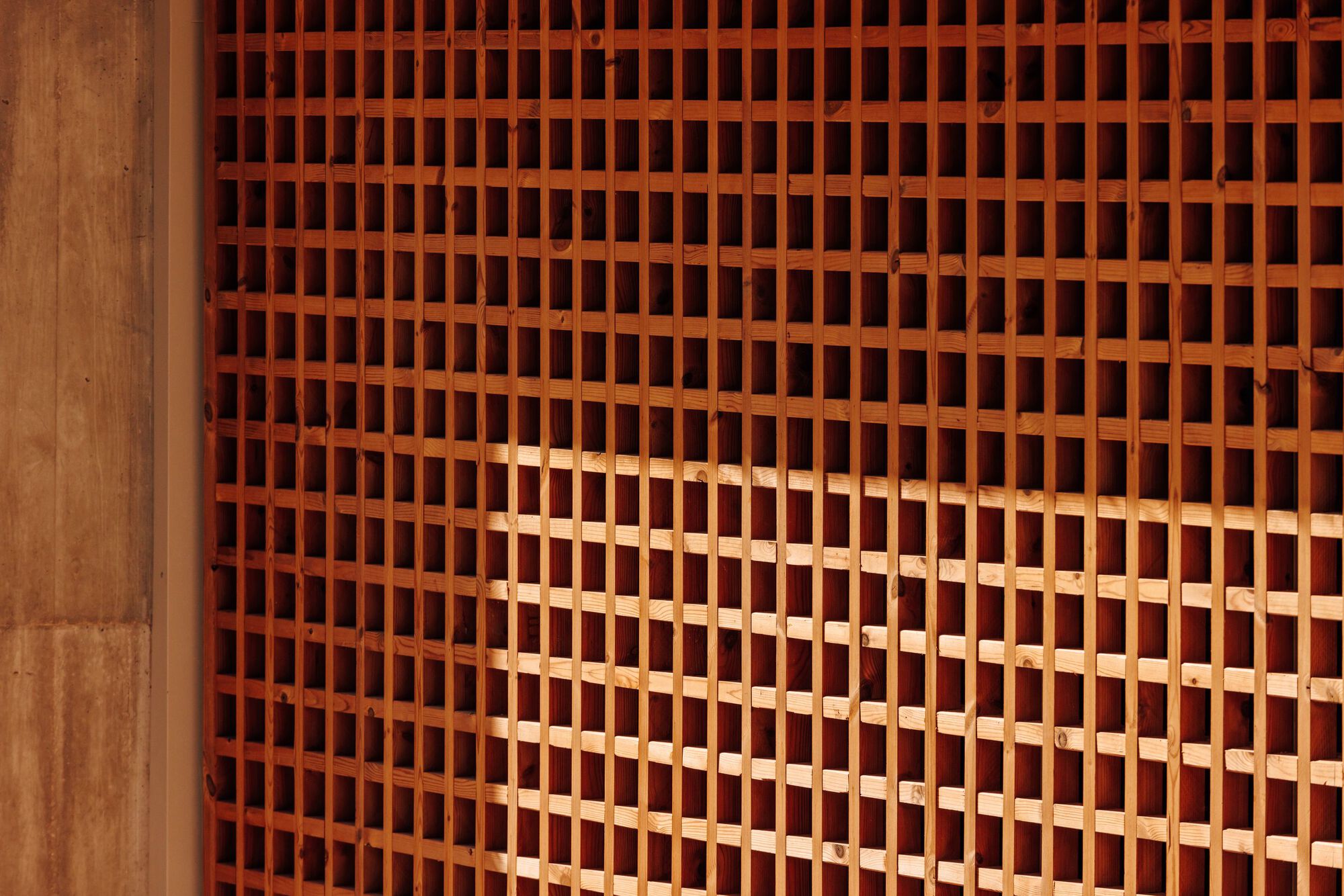 Rua São Francisco de Borja 住宅丨葡萄牙里斯本丨Ricardo Bak Gordon-38